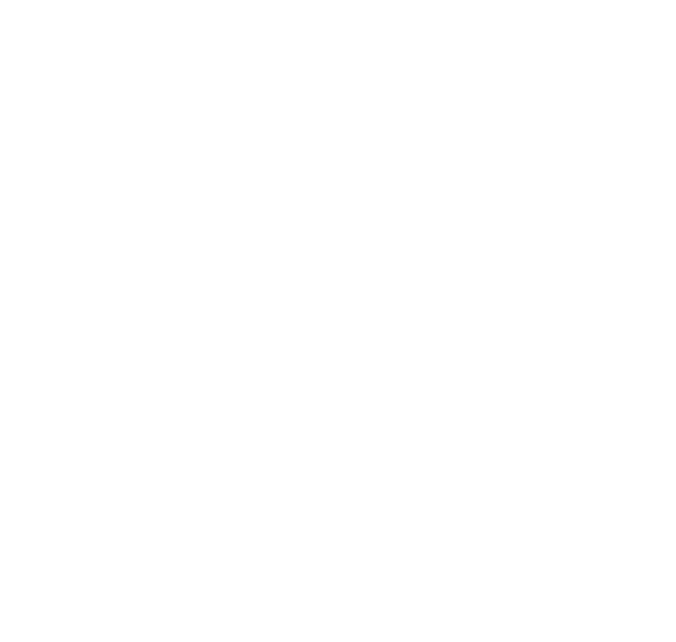 The North Tactical Badge